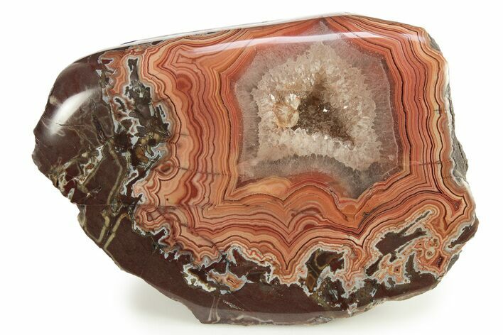 Colorful, Polished Dryhead Agate Section - Montana #265492